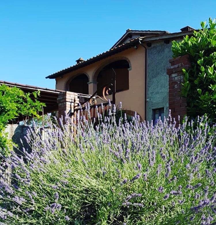 Bed and Breakfast Il Casolare Penna Zewnętrze zdjęcie