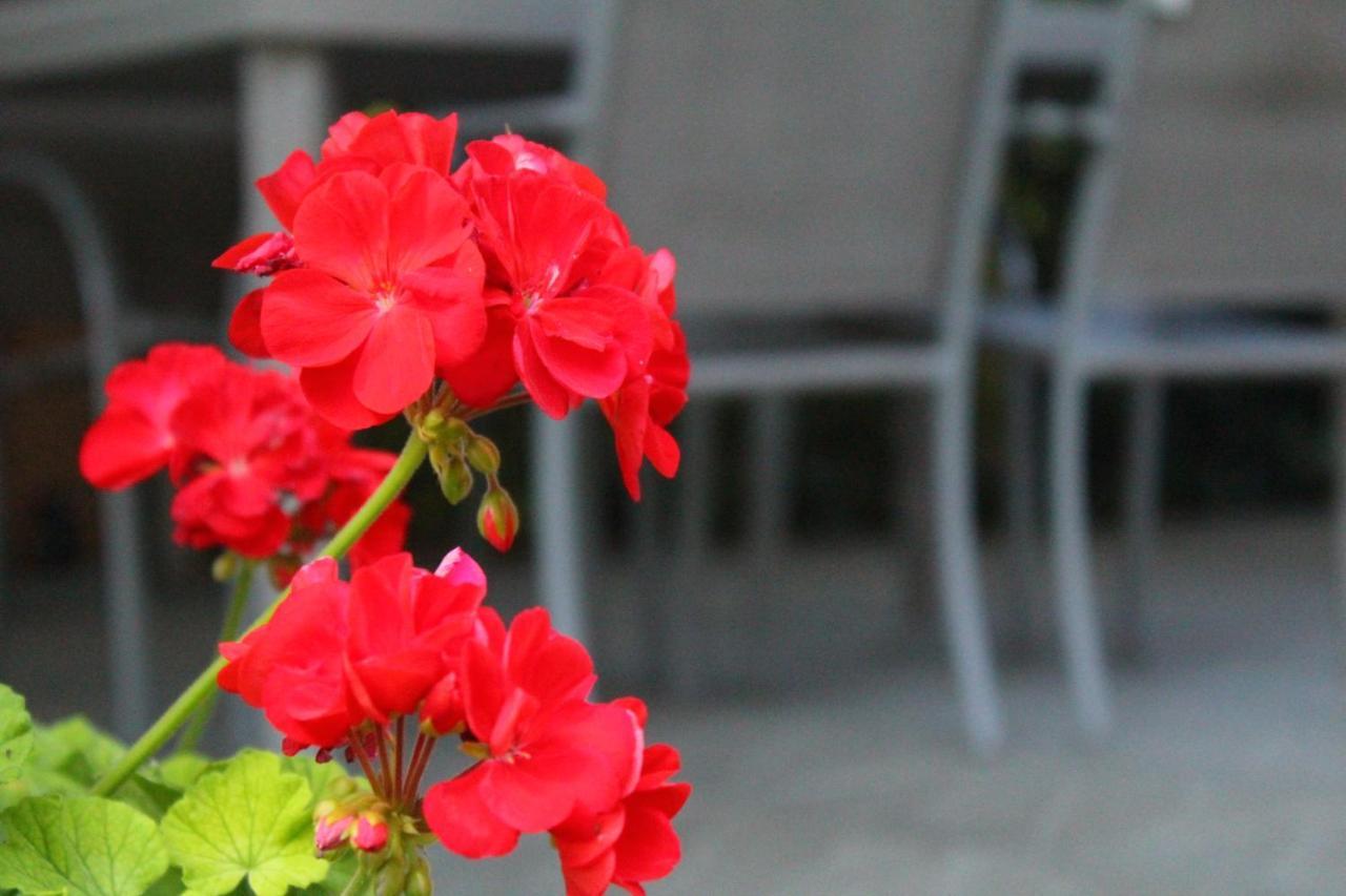 Bed and Breakfast Il Casolare Penna Zewnętrze zdjęcie